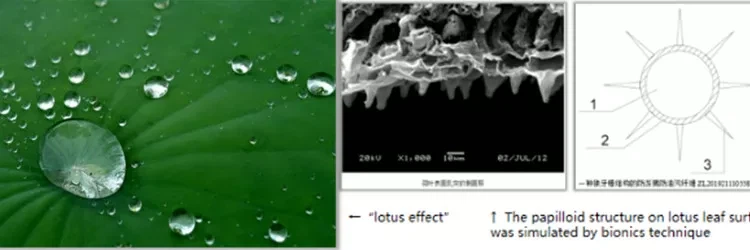 product-750-250 theory of waterproof